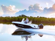 BAYLINER TROPHY 20 CX