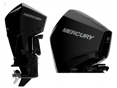 225 cv 4 temps Mercury